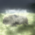 ghost bison website
